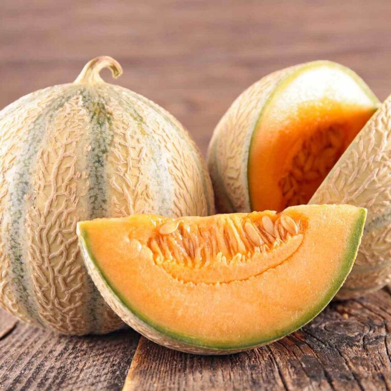 Jak wybrac dobrzalego melona